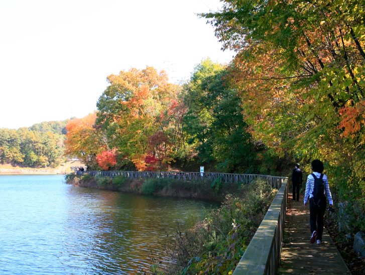 파주 가볼만한곳