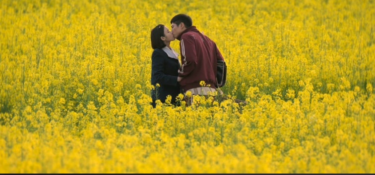 When Life Gives You Tangerines