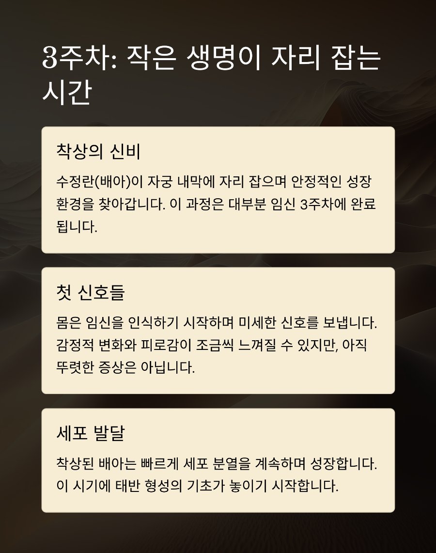 임신 1-4주차 신체 변화 아무도 알려주지 않은 미세한 신호들