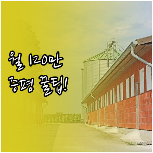 2026년 증평군 청년월세 120만원..