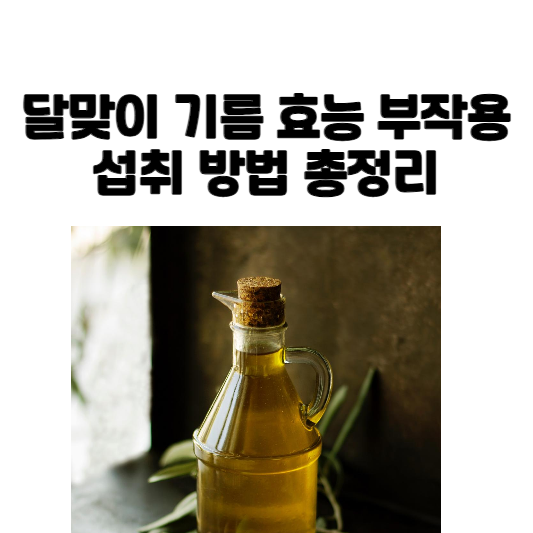 달맞이 기름 효능 부작용 섭취 방법