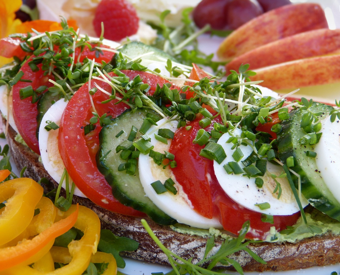 단백질과 면역력: 강력한 방어 체계를 구축하는 비결