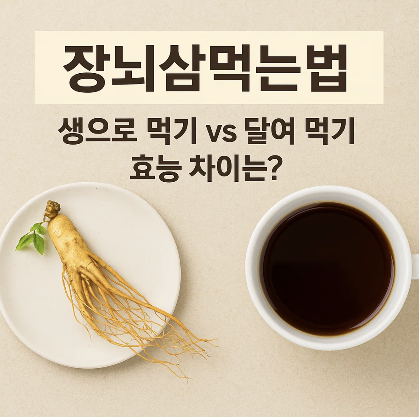 장뇌삼먹는법, 생으로 먹기 vs 달여 먹기 효능 차이는?
