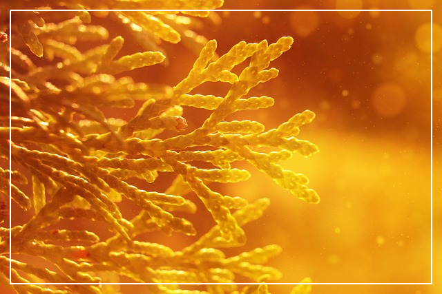 금값 상승, 개인 투자자가 알아야 할 점