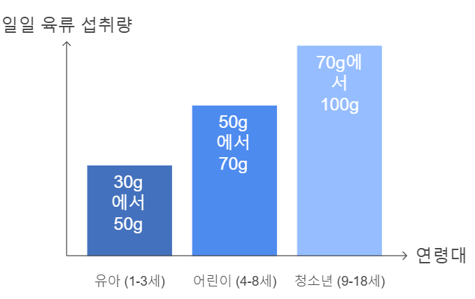 어린이 연령대별 권장 일일 권장 육류 섭취