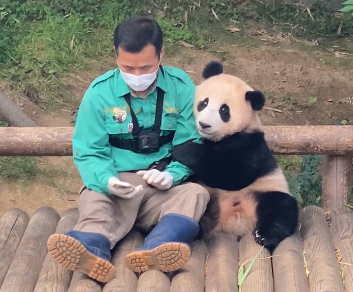 강철원 사육사와 푸바오