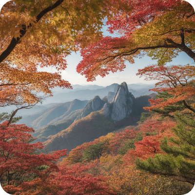 2025 지리산 단풍명소 & 단풍절정시기 이미지