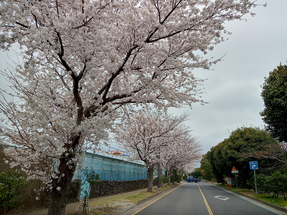 올레6코스, 쇠소깍