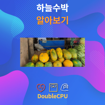 하늘수박 알아보기