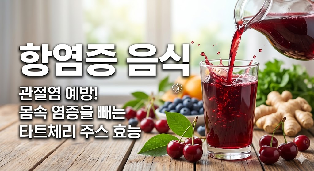 항염증 음식