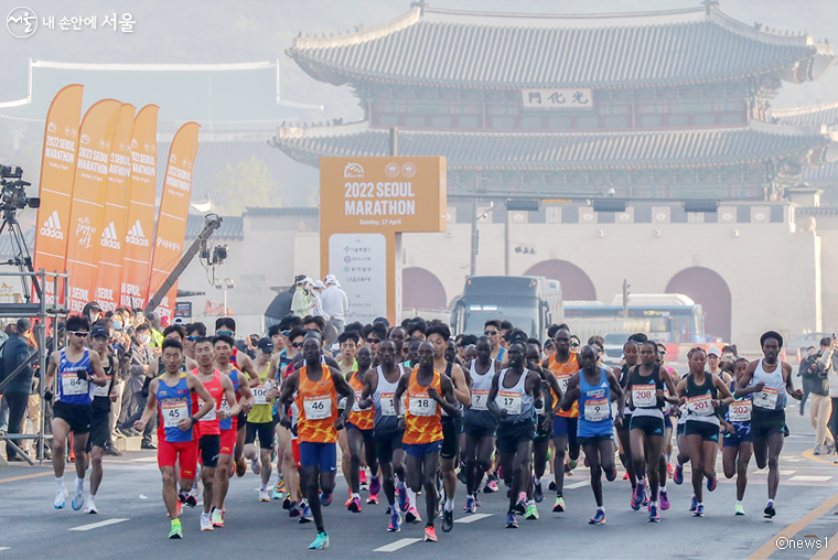 허리 수술 후 1년 회복 루틴(운동&middot;걷기&middot;생활습관)