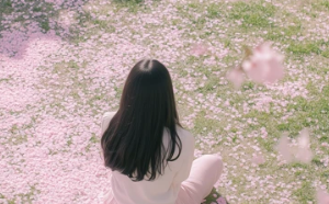 벚꽃 개화시기 및 명소 추천 2025