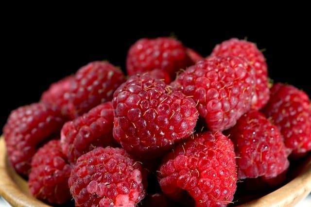 산딸기 세척 꿀팁 5가지 총정리! 여름철 곰팡이 없이 오래 보관하는 법