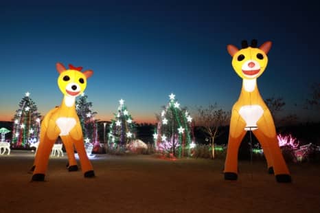 벚꽃축제 봄꽃축제