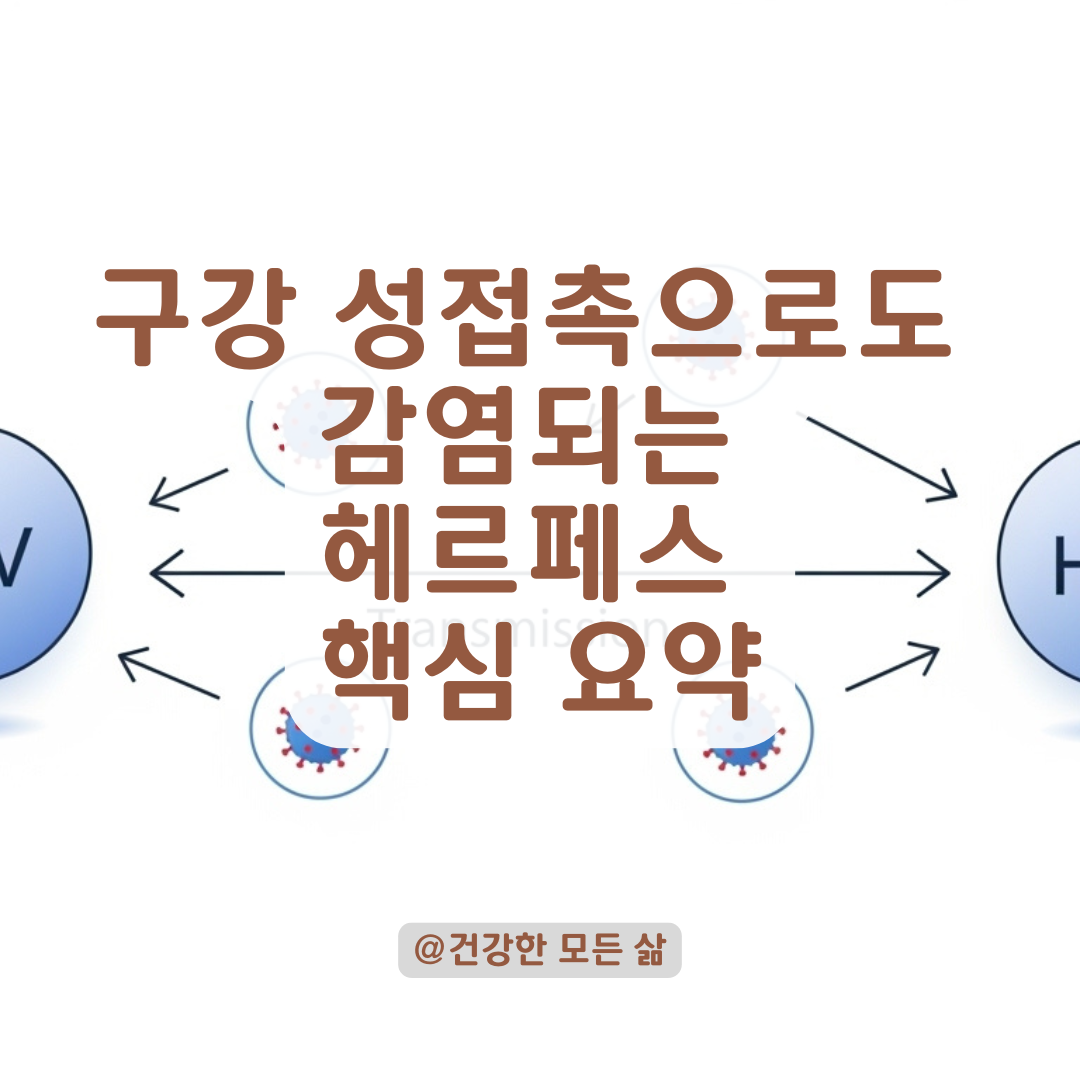 구강 성접촉으로도 옮는 헤르페스 1형&middot;2형, 전염 경로 핵심 요약 정리.