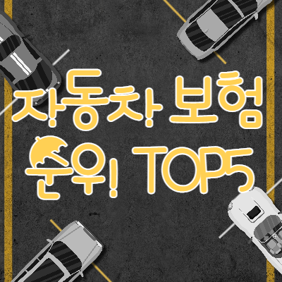 자동차보험-순위비교