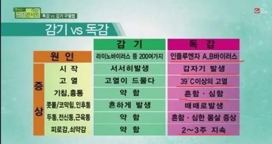 감기-독감-차이