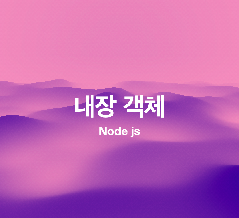 내장 객체