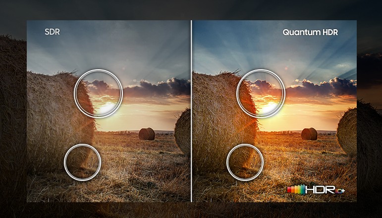 가성비가 좋은 85인치 TV 추천(85인치 티비)