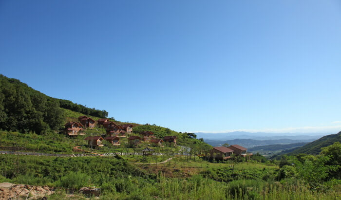디톡스 여행 추천지_영주 국립산림치유원&amp;#44; 충주 깊은산속 옹달샘&amp;#44; 정선 파크로쉬&amp;#44; 홍천 힐리언스 선마을