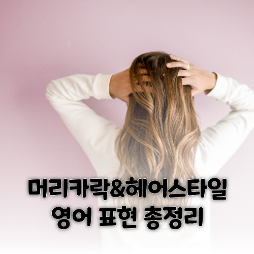 머리카락과 헤어스타일 관련 영단어 총정리