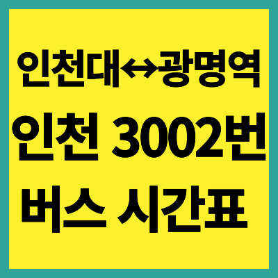 인천 3002번 버스 시간표