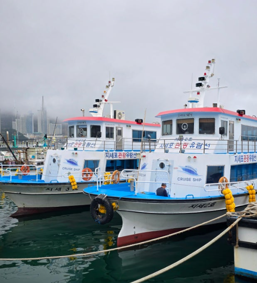 외도 보타니아 가는법 : 보타니아 유람선 시간표&amp;#44; 배타는 곳&amp;#44; 보타니아 입장료&amp;#44; 예약 방법 총정리