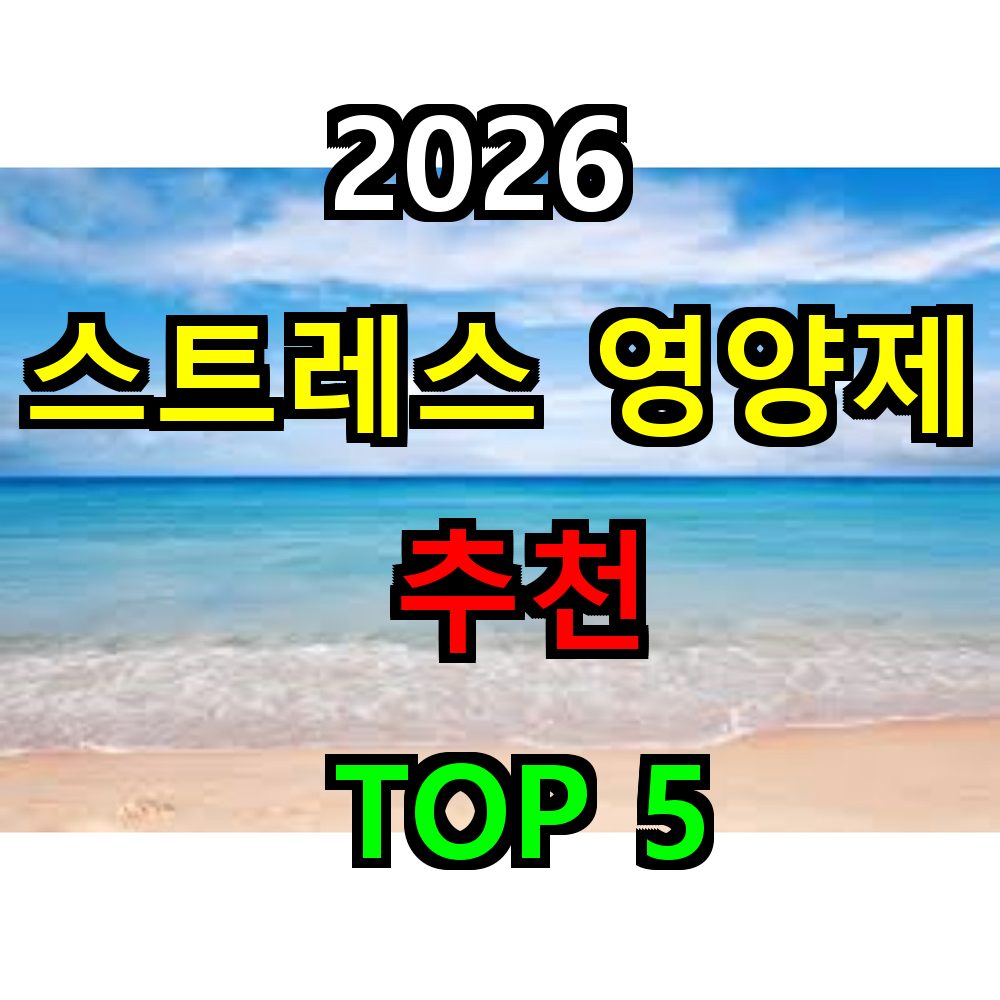 2026 스트레스 영양제 추천 TOP 5
