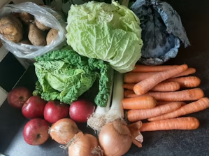 체질별 방풍나물 섭취 가이드: 태음인에게는 보약&amp;#44; 소양인에게는 주의