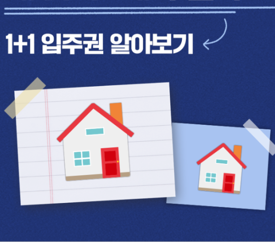 1+1입주권 제도