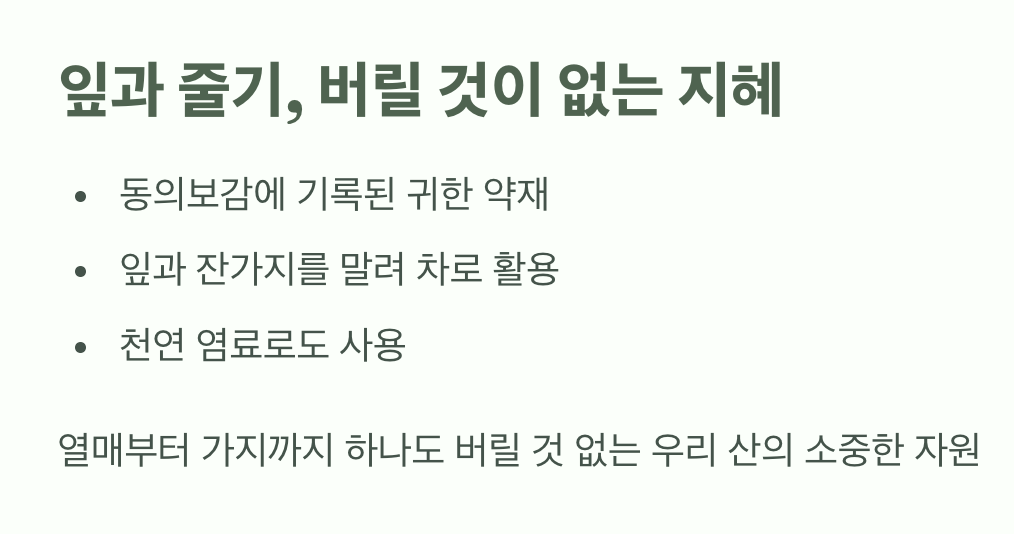 잎과 줄기, 버릴 것이 없는 지혜