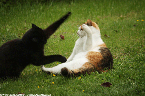 잠수타는 남자친구,남자친구 사귀는 법 중 이런 남자는 글쎄?