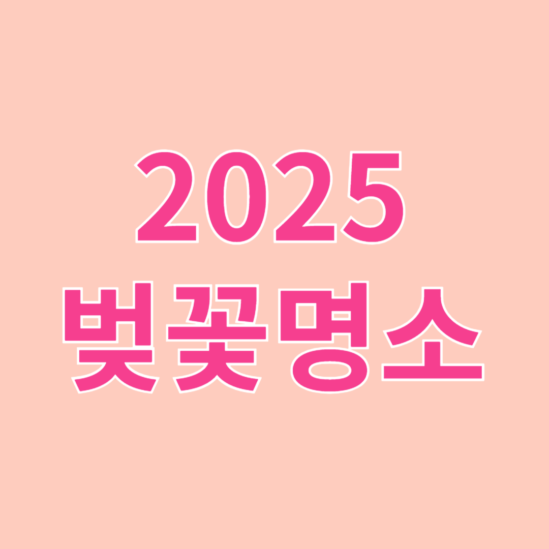 2025 전국 벚꽃 명소 BEST 7 – 꼭 가봐야 할 벚꽃 여행지 추천!