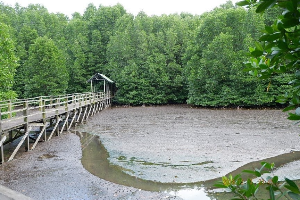 코타키나발루 습지 센터