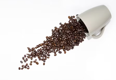 카페창고 창업에 대하여 알아보기