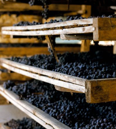 아파시멘토기법