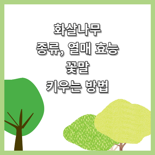 화살나무의 모든 것