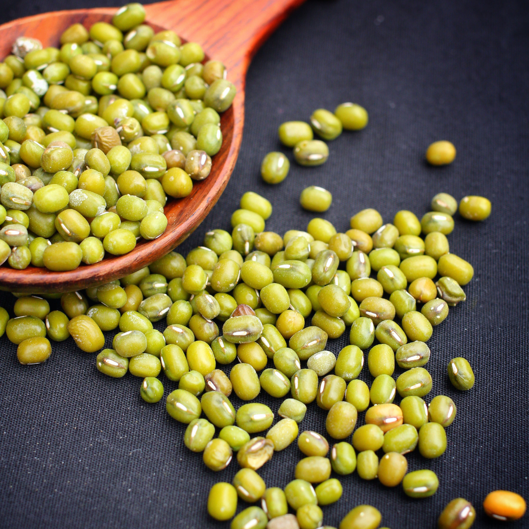 녹두 효능과 부작용, 녹두전 녹두죽 만드는 방법 레시피 공유