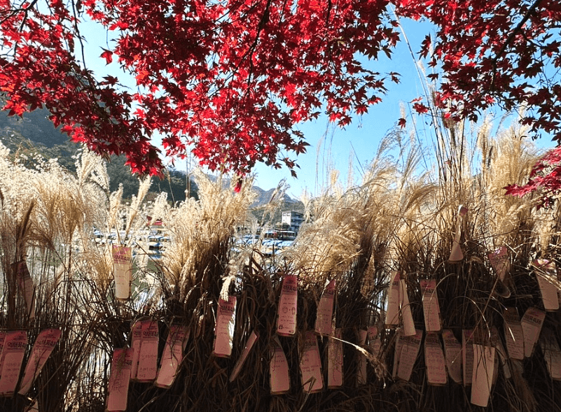산정호수