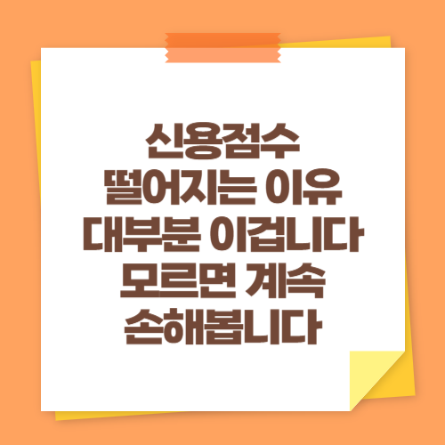 신용점수 떨어지는 이유 대부분 이겁니다 (모르면 계속 손해봅니다)