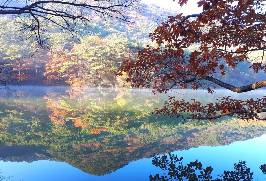 저수지에 비친 산