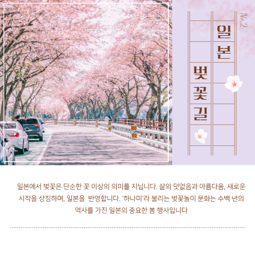 일본 벚꽃 개화 시기