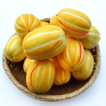 홈이 깊은 참외