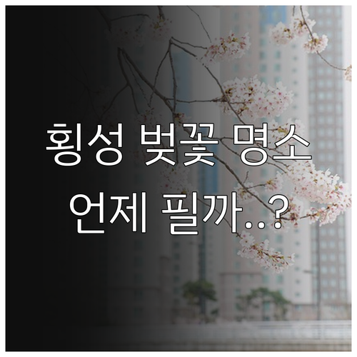 횡성 벚꽃 구경하기 좋은 곳과 지역별..