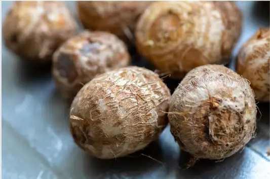 토란 효능 및 부작용&amp;#44; 먹을때 주의점