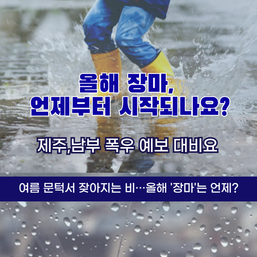 비소식