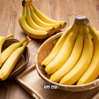 장염에 좋은 음식