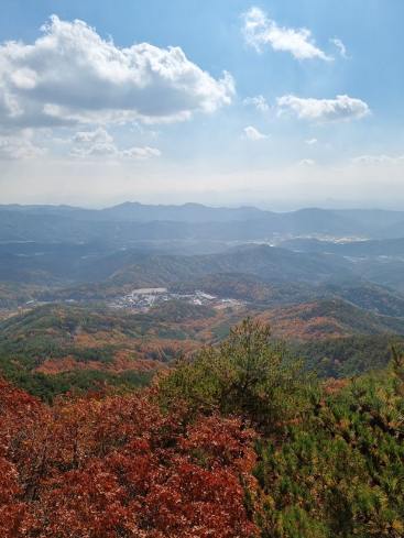 2025 팔공산 단풍 절정 시기 공개! 초보자도 즐기는 가을 등산코스 BEST