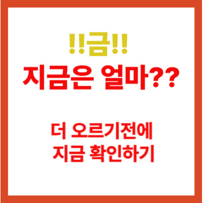 금시세