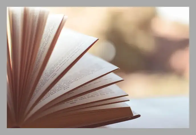 한강 채식주의자